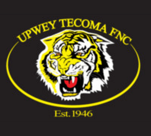 Upwey Football