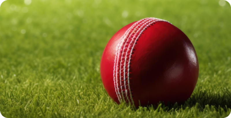 cricket physio specialist