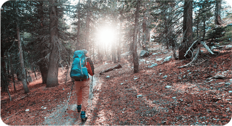 Hiking