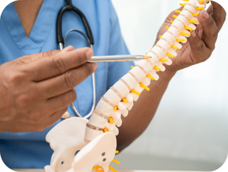  bone health