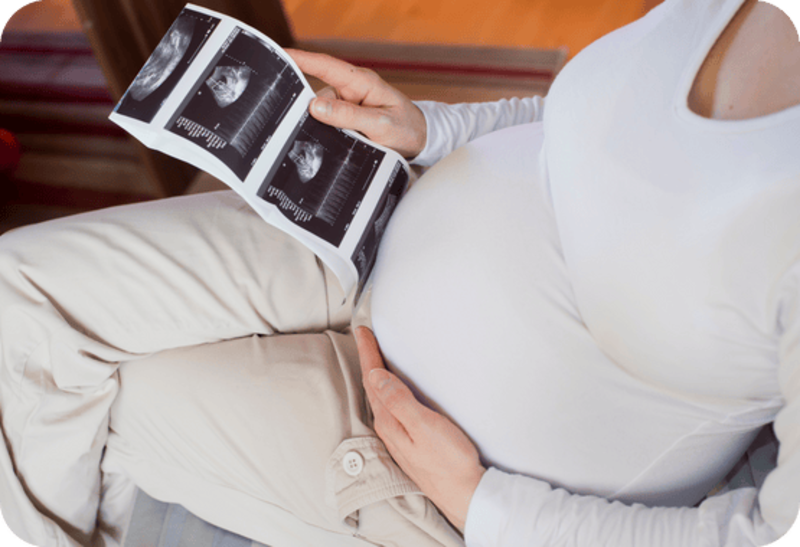 pregnancy